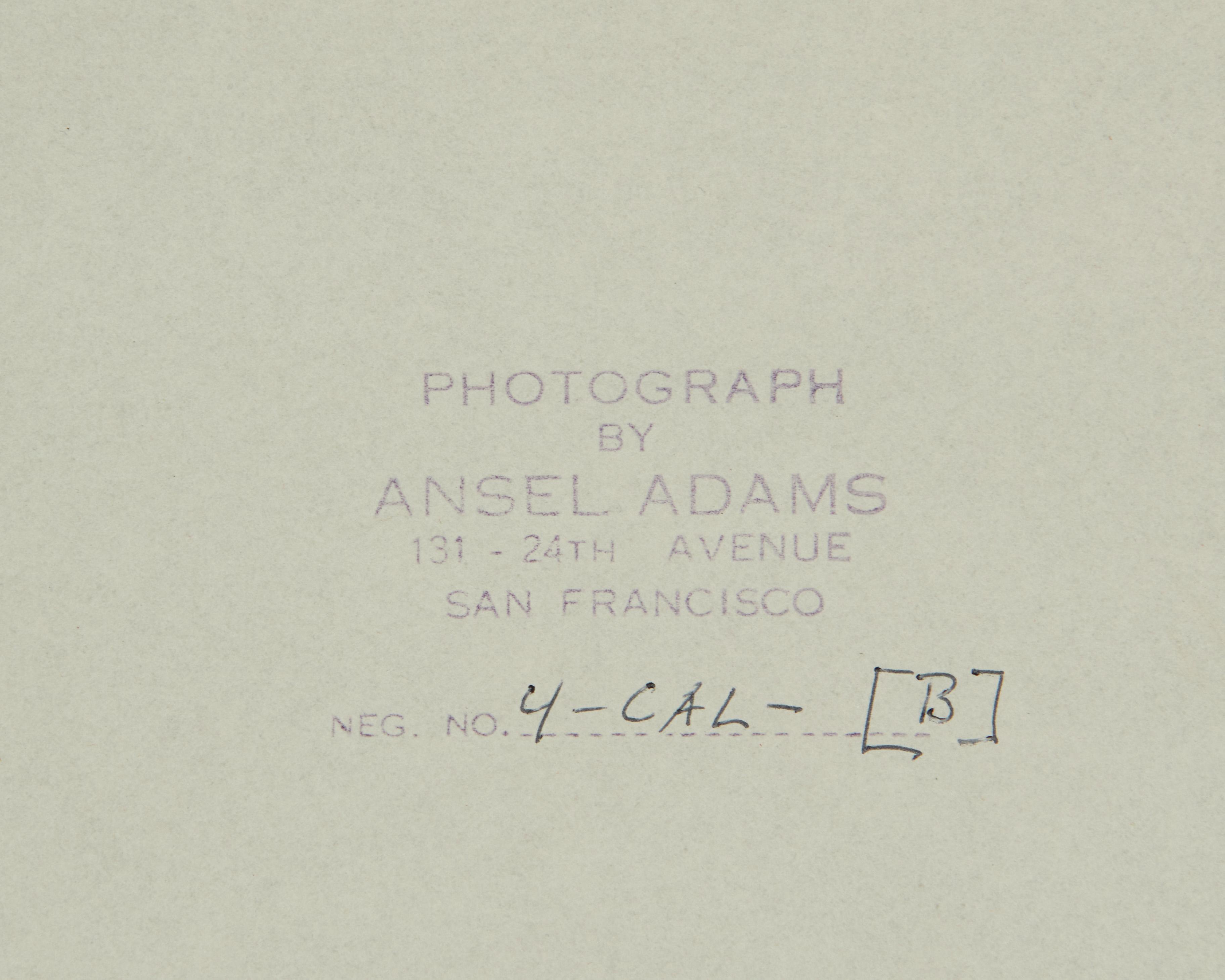 Ansel Adams - Storm Surf, Timber Cove - Stamp