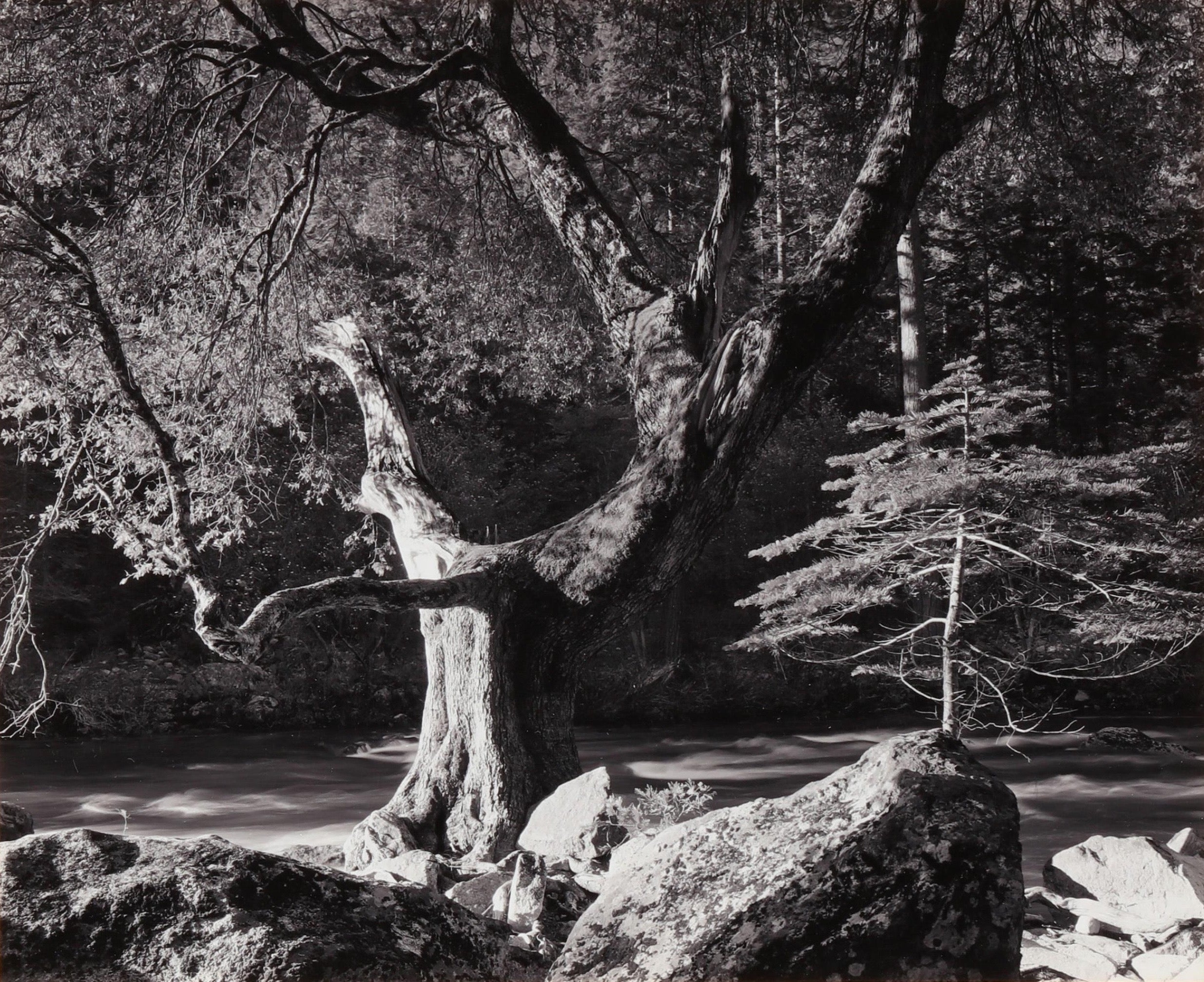Ansel Adams - Morning, Merced River Canyon