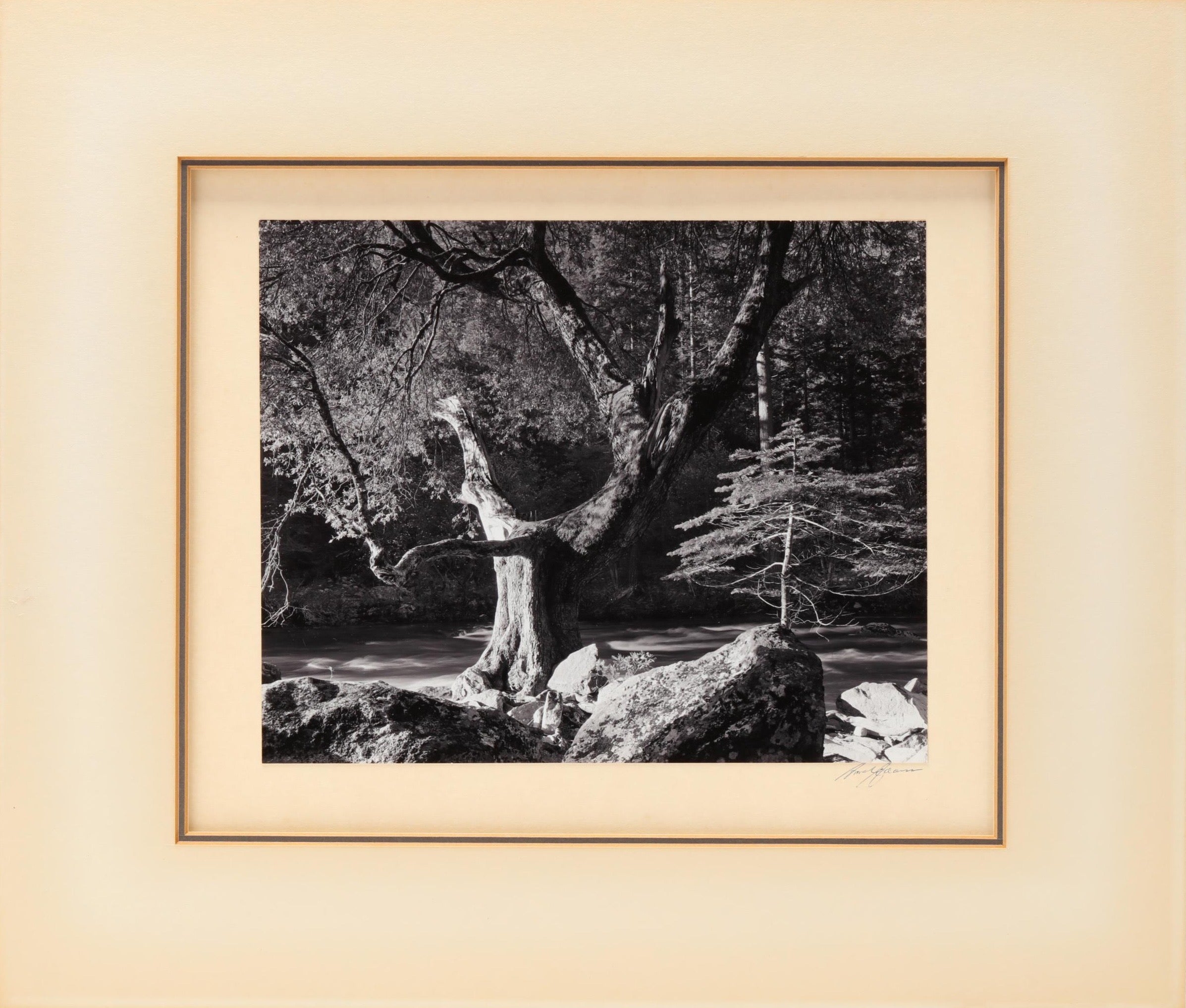 Ansel Adams - Morning, Merced River Canyon