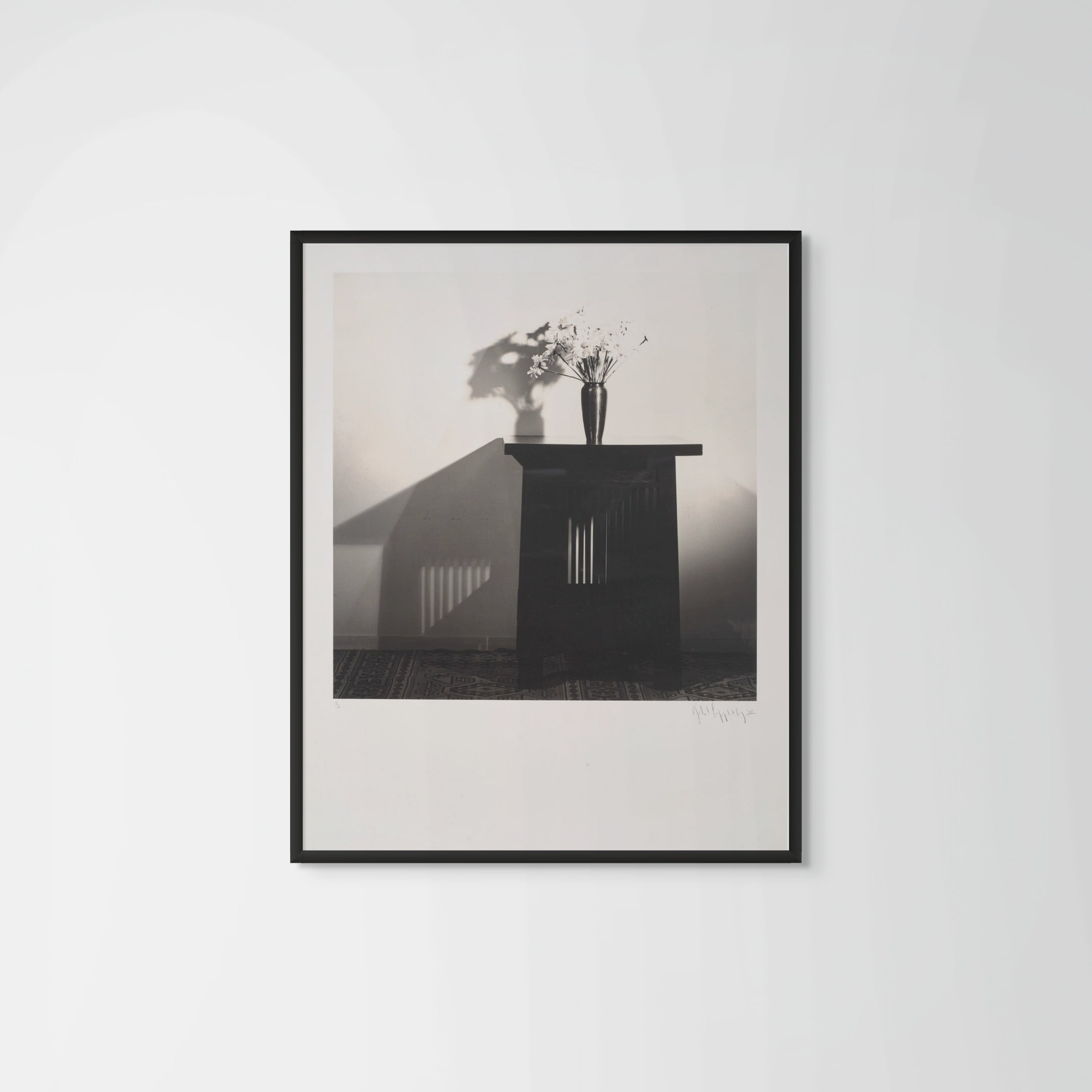 Robert Mapplethorpe - Daisies - Framed