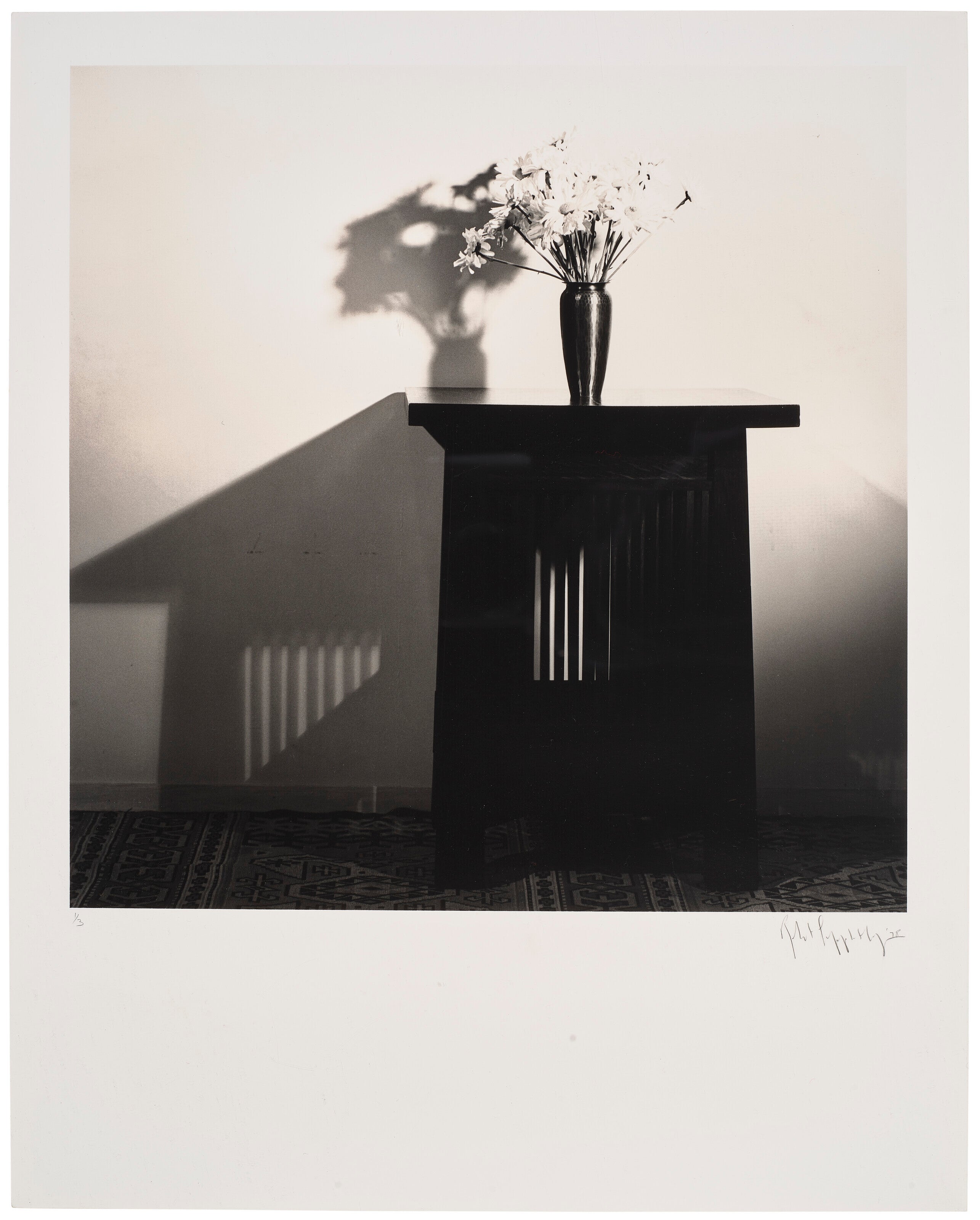 Robert Mapplethorpe - Daisies - Signature