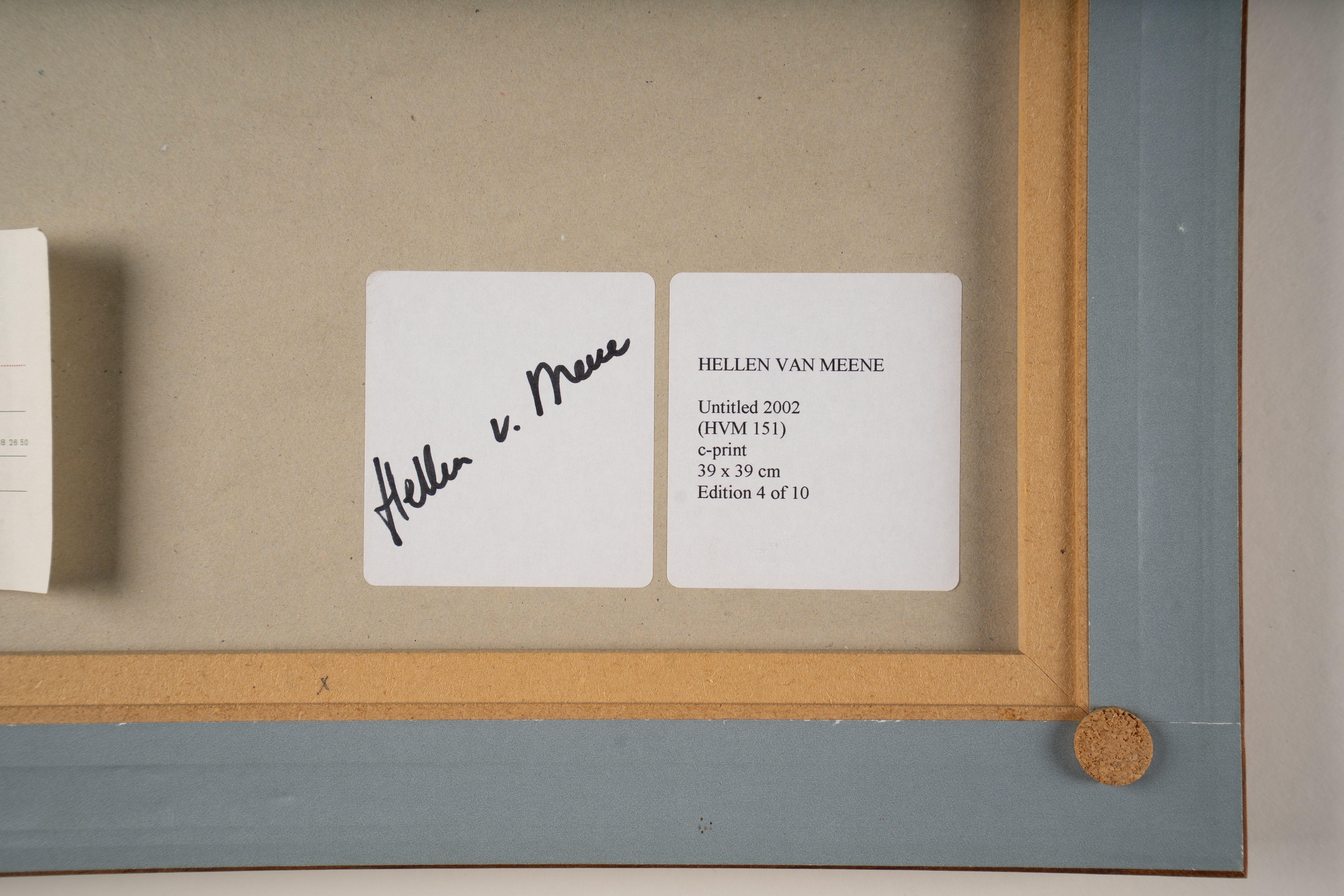 Hellen van Meene - Untitled (151)