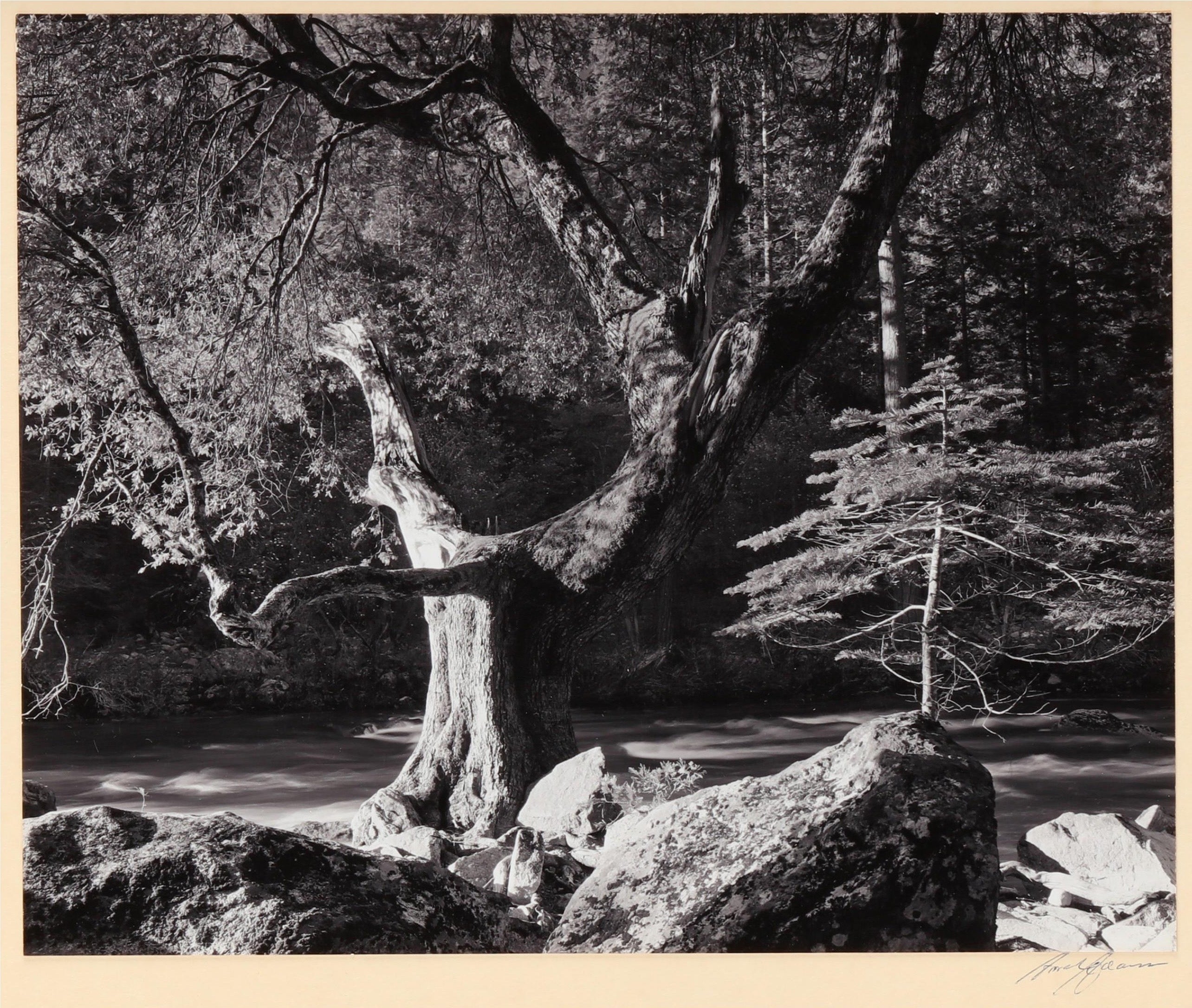 Ansel Adams - Morning, Merced River Canyon