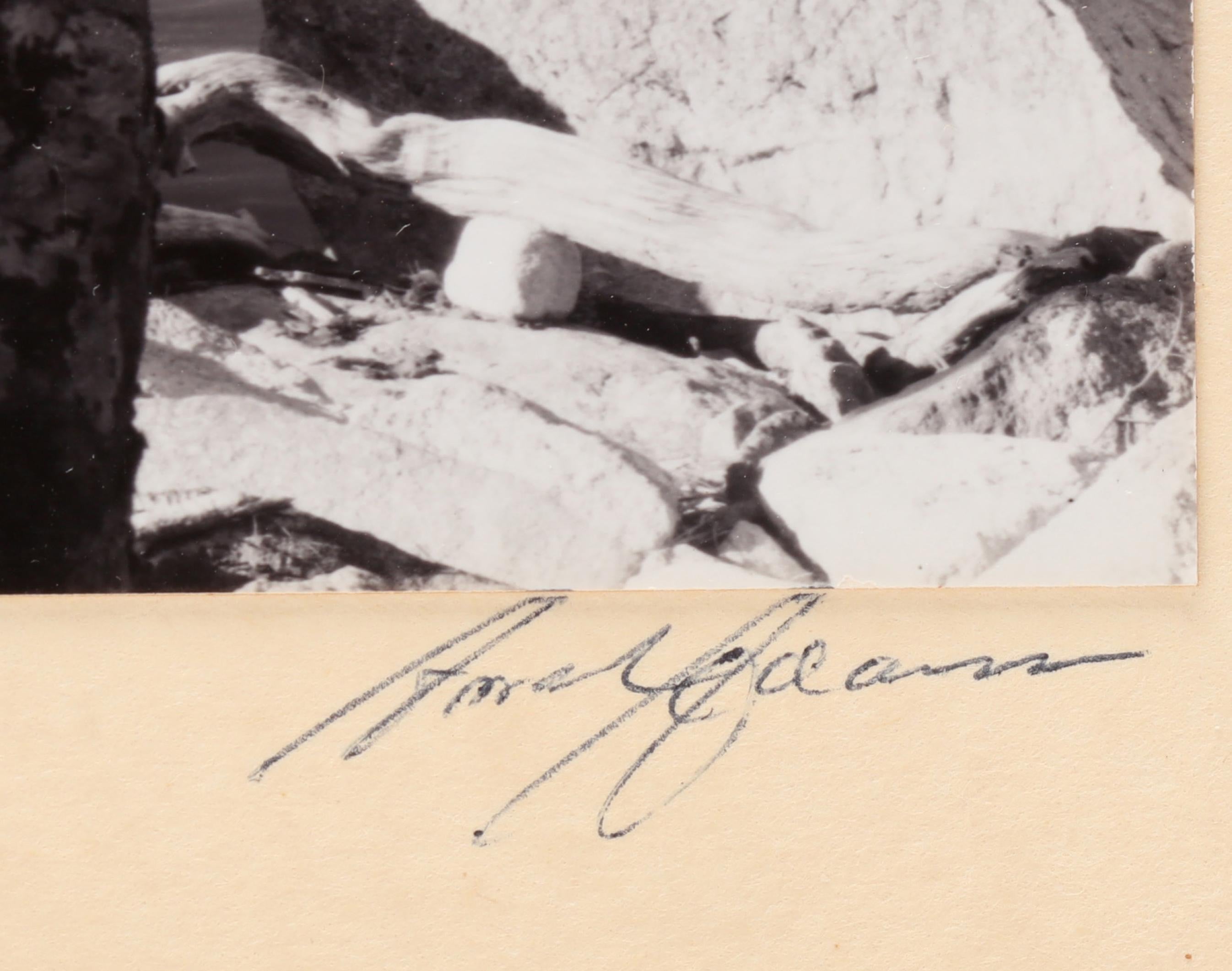 Ansel Adams - Morning, Merced River Canyon - Signature