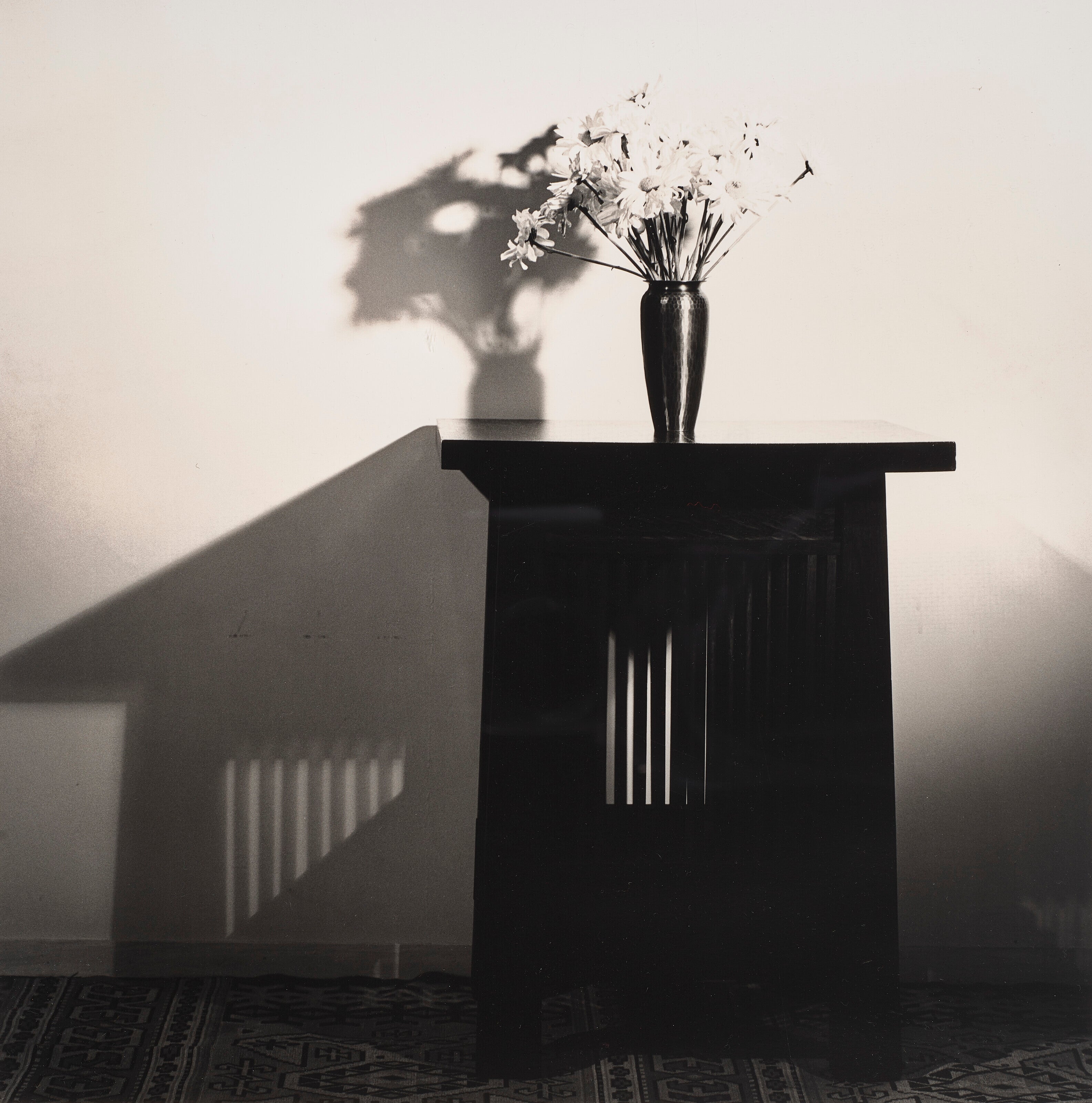 Robert Mapplethorpe - Daisies